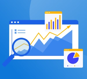 Embedded Analytics Integration